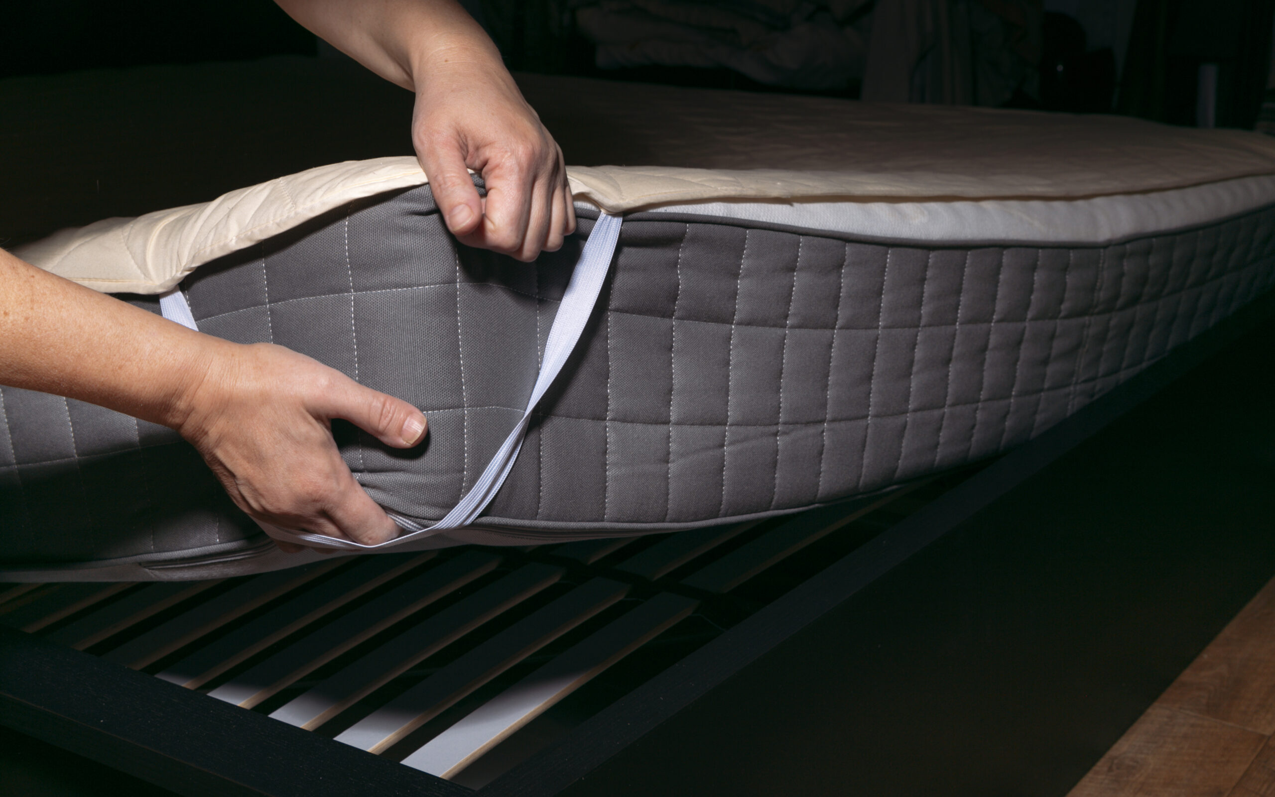 Bed Bug Control in Annapolis, MD: Your Top Local Choice
