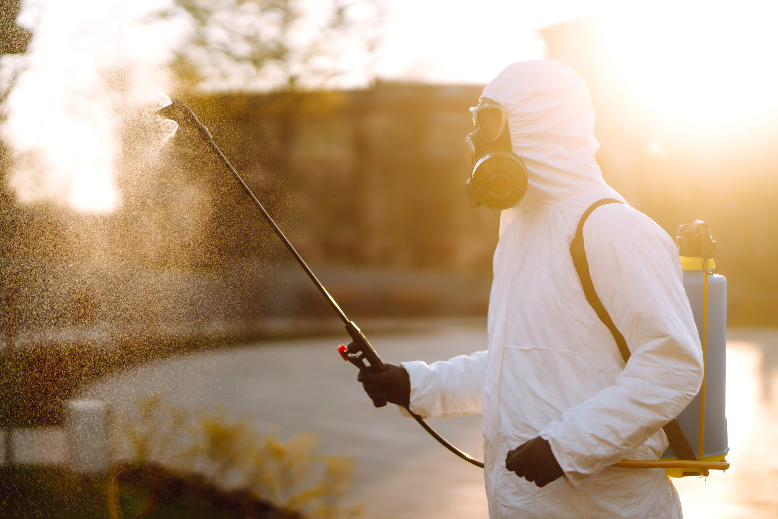 Flea Treatment in Anne Arundel County, MD: Solutions
